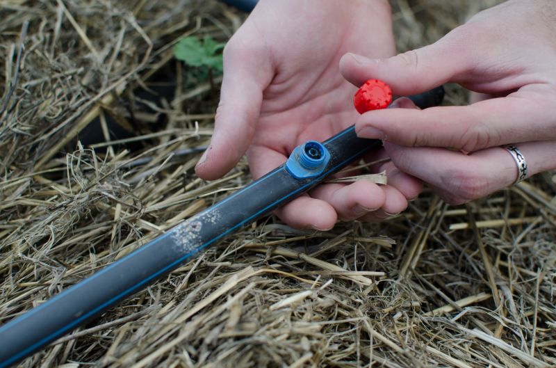 Expert Repair in Action