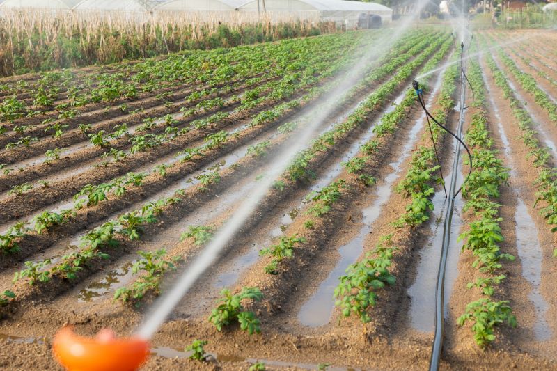 Specialized Irrigation Firms