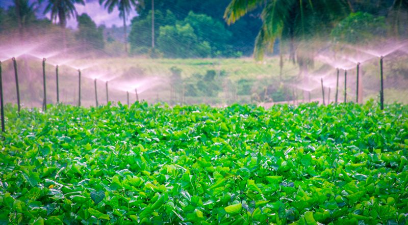 Diagnosing and repairing irrigation problems can be complex and time-consuming